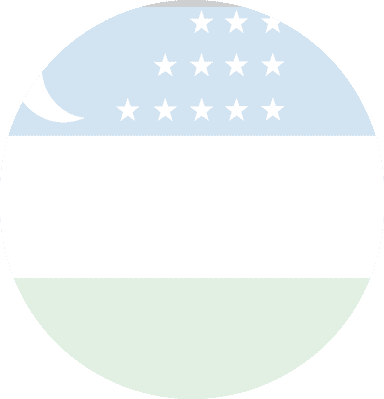 Uzbekistan Flag